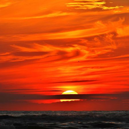 Ferienhaus Geniessen Am Meer Mit Wellnesszugang Egmond aan Zee Zewnętrze zdjęcie