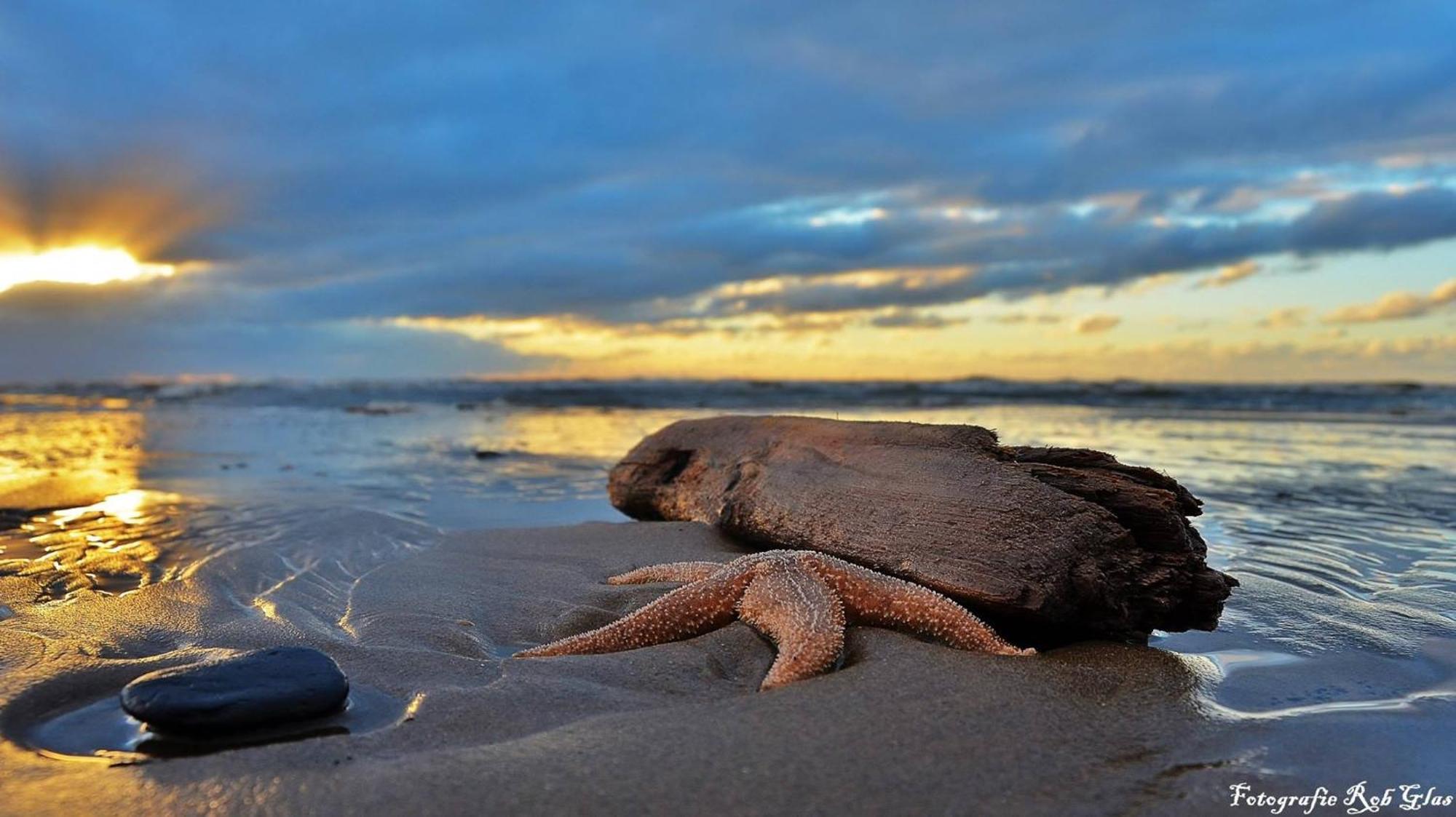 Ferienhaus Geniessen Am Meer Mit Wellnesszugang Egmond aan Zee Zewnętrze zdjęcie